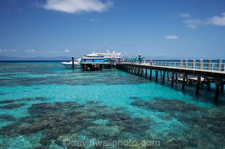 australasian;Australia;australian;Barrier-Reef;boat;boats;cairns;cay;cays;coast;coastal;coastline;coastlines;coasts;coral-cay;coral-cays;coral-reef;coral-reefs;Coral-Sea;cruise;cruises;dive-site;dive-sites;Ecosystem;Environment;Great-Barrier-Reef;Great-Barrier-Reef-Marine-Park;Green-Is;Green-Is-NP;Green-Is.;green-island;Green-Island-N.P.;Green-Island-National-Park;Green-Island-NP;Green-Island-Resort;holiday;holiday-destination;holiday-destinations;Holidays;jetties;jetty;launch;launches;marine-environment;North-Queensland;ocean;oceans;pier;piers;Qld;queensland;reef;reefs;sand-cay;sand-cays;sea;seas;shore;shoreline;shorelines;Shores;south-pacific;tasman-sea;tour-boat;tour-boats;tourism;tourist;tourist-boat;tourist-boats;travel;Tropcial-North-Queensland;tropical;tropical-reef;tropical-reefs;UNESCO-World-Heritage-Site;Vacation;Vacations;water;waterside;wharf;wharfes;wharves;Wiorld-Heritage-Site;world-heritage-area;World-Heritage-Park;world-heritage-site