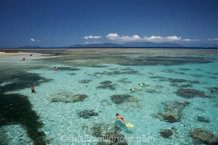australasian;Australia;australian;Barrier-Reef;bikini;bikinis;cairns;cay;cays;coast;coastal;coastline;coastlines;coasts;coral-cay;coral-cays;coral-reef;coral-reefs;Coral-Sea;dive-site;dive-sites;diver;divers;Ecosystem;Environment;girl;girls;Great-Barrier-Reef;Great-Barrier-Reef-Marine-Park;Green-Is;Green-Is-NP;Green-Is.;green-island;Green-Island-N.P.;Green-Island-National-Park;Green-Island-NP;Green-Island-Resort;holiday;holiday-destination;holiday-destinations;holidaying;Holidays;marine-environment;North-Queensland;ocean;oceans;people;person;persons;Qld;queensland;reef;reefs;sand-cay;sand-cays;sea;seas;shore;shoreline;shorelines;Shores;snorkel;snorkeler;snorkelers;snorkeling;south-pacific;swim;swimmer;swimmers;swimming;tasman-sea;tourism;tourist;tourists;travel;traveler;traveling;traveller;travelling;Tropcial-North-Queensland;tropical;tropical-reef;tropical-reefs;UNESCO-World-Heritage-Site;vacation;vacationers;vacationing;vacations;water;Wiorld-Heritage-Site;woman;women;world-heritage-area;World-Heritage-Park;world-heritage-site