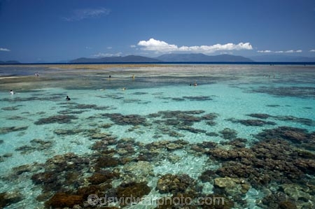 australasian;Australia;australian;Barrier-Reef;cairns;cay;cays;coast;coastal;coastline;coastlines;coasts;coral-cay;coral-cays;coral-reef;coral-reefs;Coral-Sea;dive-site;dive-sites;diver;divers;Ecosystem;Environment;Great-Barrier-Reef;Great-Barrier-Reef-Marine-Park;Green-Is;Green-Is-NP;Green-Is.;green-island;Green-Island-N.P.;Green-Island-National-Park;Green-Island-NP;Green-Island-Resort;holiday;holiday-destination;holiday-destinations;holidaying;Holidays;marine-environment;North-Queensland;ocean;oceans;people;person;persons;Qld;queensland;reef;reefs;sand-cay;sand-cays;sea;seas;shore;shoreline;shorelines;Shores;snorkel;snorkeler;snorkelers;snorkeling;south-pacific;swim;swimmer;swimmers;swimming;tasman-sea;tourism;tourist;tourists;travel;traveler;traveling;traveller;travelling;Tropcial-North-Queensland;tropical;tropical-reef;tropical-reefs;UNESCO-World-Heritage-Site;vacation;vacationers;vacationing;vacations;water;Wiorld-Heritage-Site;world-heritage-area;World-Heritage-Park;world-heritage-site