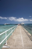 australasian;Australia;australian;Barrier-Reef;boat;boats;cairns;cay;cays;coast;coastal;coastline;coastlines;coasts;coral-cay;coral-cays;coral-reef;coral-reefs;Coral-Sea;cruise;cruises;dive-site;dive-sites;Ecosystem;Environment;Great-Barrier-Reef;Great-Barrier-Reef-Marine-Park;Green-Is;Green-Is-NP;Green-Is.;green-island;Green-Island-N.P.;Green-Island-National-Park;Green-Island-NP;Green-Island-Resort;holiday;holiday-destination;holiday-destinations;Holidays;jetties;jetty;launch;launches;marine-environment;North-Queensland;ocean;oceans;pier;piers;Qld;queensland;reef;reefs;sand-cay;sand-cays;sea;seas;shore;shoreline;shorelines;Shores;south-pacific;tasman-sea;tour-boat;tour-boats;tourism;tourist;tourist-boat;tourist-boats;travel;Tropcial-North-Queensland;tropical;tropical-reef;tropical-reefs;UNESCO-World-Heritage-Site;Vacation;Vacations;water;waterside;wharf;wharfes;wharves;Wiorld-Heritage-Site;world-heritage-area;World-Heritage-Park;world-heritage-site