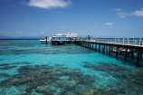 australasian;Australia;australian;Barrier-Reef;boat;boats;cairns;cay;cays;coast;coastal;coastline;coastlines;coasts;coral-cay;coral-cays;coral-reef;coral-reefs;Coral-Sea;cruise;cruises;dive-site;dive-sites;Ecosystem;Environment;Great-Barrier-Reef;Great-Barrier-Reef-Marine-Park;Green-Is;Green-Is-NP;Green-Is.;green-island;Green-Island-N.P.;Green-Island-National-Park;Green-Island-NP;Green-Island-Resort;holiday;holiday-destination;holiday-destinations;Holidays;jetties;jetty;launch;launches;marine-environment;North-Queensland;ocean;oceans;pier;piers;Qld;queensland;reef;reefs;sand-cay;sand-cays;sea;seas;shore;shoreline;shorelines;Shores;south-pacific;tasman-sea;tour-boat;tour-boats;tourism;tourist;tourist-boat;tourist-boats;travel;Tropcial-North-Queensland;tropical;tropical-reef;tropical-reefs;UNESCO-World-Heritage-Site;Vacation;Vacations;water;waterside;wharf;wharfes;wharves;Wiorld-Heritage-Site;world-heritage-area;World-Heritage-Park;world-heritage-site