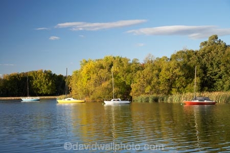 A.C.T.;ACT;Australia;Australian-Capital-Territory;autuminal;autumn;autumn-colour;autumn-colours;autumnal;boat;boats;calm;Canberra;capital;capitals;color;colors;colour;colours;deciduous;fall;lake;Lake-BG;Lake-Burley-Griffin;lakes;leaf;leaves;Lotus-Bay;placid;quiet;reflection;reflections;season;seasonal;seasons;serene;smooth;still;tranquil;tree;trees;water;West-Lake;yacht;yachts