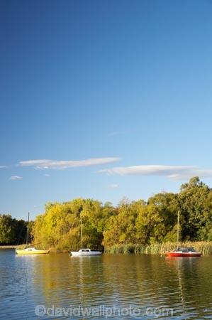 A.C.T.;ACT;Australia;Australian-Capital-Territory;autuminal;autumn;autumn-colour;autumn-colours;autumnal;boat;boats;calm;Canberra;capital;capitals;color;colors;colour;colours;deciduous;fall;lake;Lake-BG;Lake-Burley-Griffin;lakes;leaf;leaves;Lotus-Bay;placid;quiet;reflection;reflections;season;seasonal;seasons;serene;smooth;still;tranquil;tree;trees;water;West-Lake;yacht;yachts