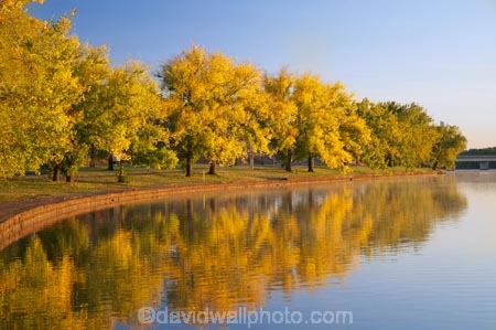 A.C.T.;ACT;Australia;Australian-Capital-Territory;autuminal;autumn;autumn-colour;autumn-colours;autumnal;Barton;Bowen-Park;calm;Canberra;capital;capitals;color;colors;colour;colours;deciduous;East-Basin;fall;lake;Lake-BG;Lake-Burley-Griffin;lakes;leaf;leaves;park;parks;placid;quiet;reflection;reflections;season;seasonal;seasons;serene;smooth;still;tranquil;tree;trees;water