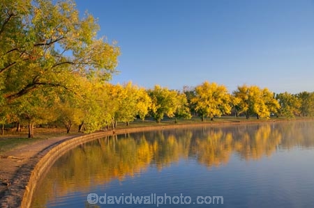A.C.T.;ACT;Australia;Australian-Capital-Territory;autuminal;autumn;autumn-colour;autumn-colours;autumnal;Barton;Bowen-Park;calm;Canberra;capital;capitals;color;colors;colour;colours;deciduous;East-Basin;fall;lake;Lake-BG;Lake-Burley-Griffin;lakes;leaf;leaves;park;parks;placid;quiet;reflection;reflections;season;seasonal;seasons;serene;smooth;still;tranquil;tree;trees;water