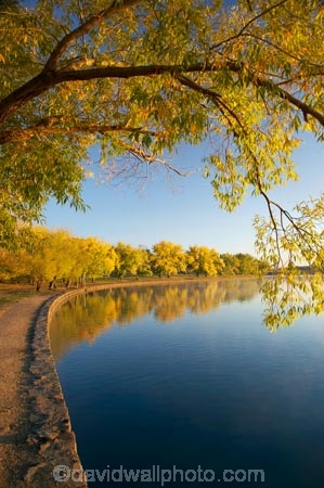 A.C.T.;ACT;Australia;Australian-Capital-Territory;autuminal;autumn;autumn-colour;autumn-colours;autumnal;Barton;Bowen-Park;calm;Canberra;capital;capitals;color;colors;colour;colours;deciduous;East-Basin;fall;lake;Lake-BG;Lake-Burley-Griffin;lakes;leaf;leaves;park;parks;placid;quiet;reflection;reflections;season;seasonal;seasons;serene;smooth;still;tranquil;tree;trees;water