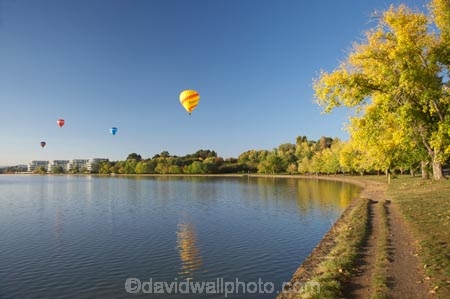 A.C.T.;ACT;adventure;air;Australia;Australian-Capital-Territory;autuminal;autumn;autumn-colour;autumn-colours;autumnal;aviation;balloon;ballooning;balloons;Barton;Bowen-Park;calm;Canberra;capital;capitals;color;colorful;colors;colour;colourful;colours;deciduous;East-Basin;fall;flight;float;floating;fly;flying;hot-air-balloon;hot-air-ballooning;hot-air-balloons;hot_air-balloon;hot_air-ballooning;hot_air-balloons;hotair-balloon;hotair-balloons;lake;Lake-BG;Lake-Burley-Griffin;lakes;leaf;leaves;mid-air;mid_air;park;parks;placid;quiet;reflection;reflections;season;seasonal;seasons;serene;smooth;sport;sports;still;tourism;tranquil;transport;transportation;tree;trees;water