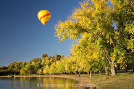 A.C.T.;ACT;adventure;air;Australia;Australian-Capital-Territory;autuminal;autumn;autumn-colour;autumn-colours;autumnal;aviation;balloon;ballooning;balloons;Barton;Bowen-Park;calm;Canberra;capital;capitals;color;colorful;colors;colour;colourful;colours;deciduous;East-Basin;fall;flight;float;floating;fly;flying;hot-air-balloon;hot-air-ballooning;hot-air-balloons;hot_air-balloon;hot_air-ballooning;hot_air-balloons;hotair-balloon;hotair-balloons;lake;Lake-BG;Lake-Burley-Griffin;lakes;leaf;leaves;mid-air;mid_air;park;parks;placid;quiet;reflection;reflections;season;seasonal;seasons;serene;smooth;sport;sports;still;tourism;tranquil;transport;transportation;tree;trees;water