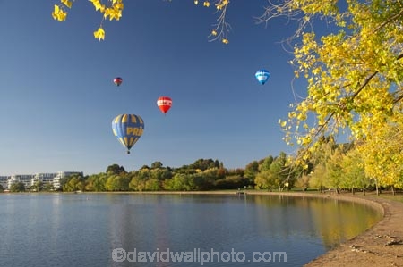 A.C.T.;ACT;adventure;air;Australia;Australian-Capital-Territory;autuminal;autumn;autumn-colour;autumn-colours;autumnal;aviation;balloon;ballooning;balloons;Barton;Bowen-Park;Canberra;capital;capitals;color;colorful;colors;colour;colourful;colours;deciduous;East-Basin;fall;flight;float;floating;fly;flying;hot-air-balloon;hot-air-ballooning;hot-air-balloons;hot_air-balloon;hot_air-ballooning;hot_air-balloons;hotair-balloon;hotair-balloons;lake;Lake-BG;Lake-Burley-Griffin;lakes;leaf;leaves;mid-air;mid_air;park;parks;season;seasonal;seasons;sport;sports;tourism;transport;transportation;tree;trees;water