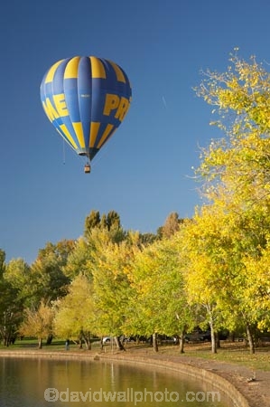 A.C.T.;ACT;adventure;air;Australia;Australian-Capital-Territory;autuminal;autumn;autumn-colour;autumn-colours;autumnal;aviation;balloon;ballooning;balloons;Barton;Bowen-Park;calm;Canberra;capital;capitals;color;colorful;colors;colour;colourful;colours;deciduous;East-Basin;fall;flight;float;floating;fly;flying;hot-air-balloon;hot-air-ballooning;hot-air-balloons;hot_air-balloon;hot_air-ballooning;hot_air-balloons;hotair-balloon;hotair-balloons;lake;Lake-BG;Lake-Burley-Griffin;lakes;leaf;leaves;mid-air;mid_air;park;parks;placid;quiet;reflection;reflections;season;seasonal;seasons;serene;smooth;sport;sports;still;tourism;tranquil;transport;transportation;tree;trees;water