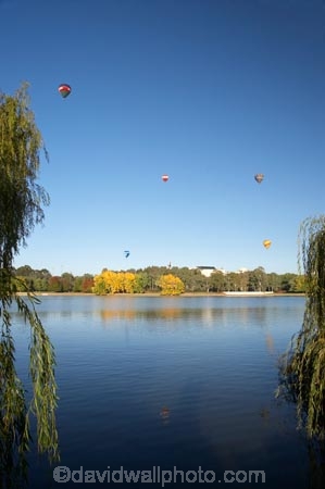 A.C.T.;ACT;adventure;air;Australia;Australian-Capital-Territory;autuminal;autumn;autumn-colour;autumn-colours;autumnal;aviation;balloon;ballooning;balloons;calm;Canberra;capital;capitals;Central-Basin;color;colorful;colors;colour;colourful;colours;deciduous;fall;flight;float;floating;fly;flying;hot-air-balloon;hot-air-ballooning;hot-air-balloons;hot_air-balloon;hot_air-ballooning;hot_air-balloons;hotair-balloon;hotair-balloons;lake;Lake-BG;Lake-Burley-Griffin;lakes;leaf;leaves;mid-air;mid_air;placid;quiet;reflection;reflections;season;seasonal;seasons;serene;smooth;sport;sports;still;tourism;tranquil;transport;transportation;tree;trees;water