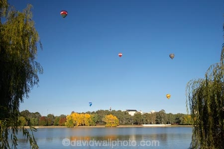 A.C.T.;ACT;adventure;air;Australia;Australian-Capital-Territory;autuminal;autumn;autumn-colour;autumn-colours;autumnal;aviation;balloon;ballooning;balloons;calm;Canberra;capital;capitals;Central-Basin;color;colorful;colors;colour;colourful;colours;deciduous;fall;flight;float;floating;fly;flying;hot-air-balloon;hot-air-ballooning;hot-air-balloons;hot_air-balloon;hot_air-ballooning;hot_air-balloons;hotair-balloon;hotair-balloons;lake;Lake-BG;Lake-Burley-Griffin;lakes;leaf;leaves;mid-air;mid_air;placid;quiet;reflection;reflections;season;seasonal;seasons;serene;smooth;sport;sports;still;tourism;tranquil;transport;transportation;tree;trees;water
