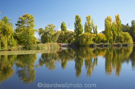 A.C.T.;ACT;Australia;Australian-Capital-Territory;autuminal;autumn;autumn-colour;autumn-colours;autumnal;calm;Canberra;capital;capitals;color;colors;colour;colours;Commonwealth-Park;deciduous;fall;leaf;leaves;Nerang-Pool;park;parks;placid;pond;ponds;poplar;poplar-tree;poplar-trees;poplars;quiet;reflection;reflections;season;seasonal;seasons;serene;smooth;still;tranquil;tree;trees;water