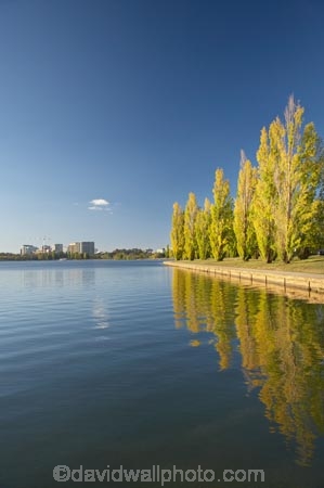 A.C.T.;ACT;Australia;Australian-Capital-Territory;autuminal;autumn;autumn-colour;autumn-colours;autumnal;calm;Canberra;capital;capitals;color;colors;colour;colours;cycle-path;cycle-paths;cycle-way;cycle-ways;cycle_way;cycle_ways;cycleway;cycleways;deciduous;fall;lake;Lake-BG;Lake-Burley-Griffin;lakes;leaf;leaves;Lennox-Gardens;park;parks;placid;poplar;poplar-tree;poplar-trees;poplars;quiet;reflection;reflections;season;seasonal;seasons;serene;smooth;still;tranquil;tree;trees;water;West-Lake