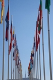 A.C.T.;ACT;Australia;Australian-Capital-Territory;Canberra;capital;capitals;flag;flag-pole;flag-poles;flag-post;flag-posts;flagpole;flagpoles;flagpost;flagposts;flags;flagstaff;Telstra-Tower