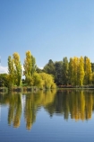 A.C.T.;ACT;Australia;Australian-Capital-Territory;autuminal;autumn;autumn-colour;autumn-colours;autumnal;calm;Canberra;capital;capitals;color;colors;colour;colours;Commonwealth-Park;deciduous;fall;leaf;leaves;Nerang-Pool;park;parks;placid;pond;ponds;poplar;poplar-tree;poplar-trees;poplars;quiet;reflection;reflections;season;seasonal;seasons;serene;smooth;still;tranquil;tree;trees;water