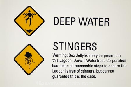 Australasian;Australia;Australian;box-jellyfish-sign;Darwin;Darwin-Waterfront;Darwin-Waterfront-Precinct;deep-water-sign;N.T.;Northern-Territory;NT;sign;signs;stingers-sign;Top-End;warning-sign;warning-signs