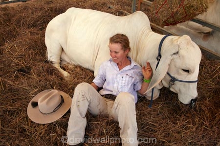Australasian;Australia;Australian;brahman-cattle;brahman-cow;brahman-cows;cattle;cow;cows;Darwin;fair;fairs;Freds-Pass-Rural-Show;girl;girls;N.T.;Northern-Territory;NT;people;person;rural-show;rural-shows;show;show-cow;show-cows;shows;Top-End