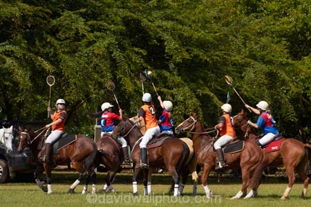 Australasian;Australia;Australian;Darwin;equestrian;fair;fairs;Freds-Pass-Rural-Show;horse;horses;N.T.;Northern-Territory;NT;people;person;polo-cross;polocross;polocross-rider;polocross-riders;polocrosse;polocrosse-rider;polocrosse-riders;rural-show;rural-shows;show;shows;sport;sports;Top-End