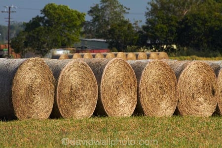 agricultural;agriculture;Australasian;Australia;Australian;country;countryside;crop;crops;Darwin;farm;farming;farmland;farms;field;fields;hay-bale;hay-bales;hay_bale;hay_bales;horticulture;meadow;meadows;N.T.;Northern-Territory;NT;paddock;paddocks;pasture;pastures;rural;Top-End