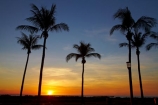 Australasian;Australia;Australian;Darwin;dusk;evening;Mindil-Beach;N.T.;nightfall;Northern-Territory;NT;orange;palm-tree;palm-trees;sky;sunset;sunsets;Top-End;twilight