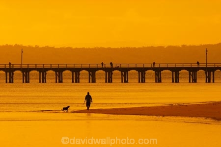 australasia;Australia;australian;coast;coastal;coastline;color;colors;colour;colours;dawn;dog;dogs;Fraser-Coast;Hervey-Bay;jetties;jetty;man;orange;people;person;persons;pier;piers;queensland;silhouette;silhouettes;sunrise;Urangan-pier;wharf;wharfs;wharves