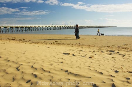 australasia;Australia;australian;beach;beaches;cloud;clouds;coast;coastal;coastline;dog;dogs;early-light;Fraser-Coast;Hervey-Bay;jetties;jetty;people;person;pier;piers;queensland;sand;sandy;shore;shoreline;sky;Urangan-pier;walk;walking;wharf;wharfs;wharves
