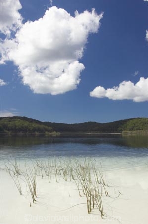 australasia;Australia;australian;beach;beaches;bush;clear-water;cloud;clouds;Fraser-Island;great-sandy-n.p.;great-sandy-national-park;great-sandy-np;islands;lake;Lake-Birrabeen;lakes;native-bush;perched-lake;perched-lakes;queensland;reed;reeds;UN-world-heritage-site;united-nations-world-heritage-s;water;white-sand;white-sands;world-heritage;World-Heritage-site
