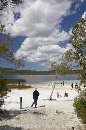 australasia;Australia;australian;beach;beaches;bush;children;forest;Fraser-Island;great-sandy-n.p.;great-sandy-national-park;great-sandy-np;islands;lake;Lake-Birrabeen;lakes;native-bush;people;perched-lake;perched-lakes;person;queensland;UN-world-heritage-site;united-nations-world-heritage-s;white-sand;white-sands;world-heritage;World-Heritage-site