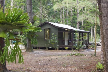 australasia;Australia;australian;building;buildings;central-station;forest;forests;Fraser-Island;great-sandy-n.p.;great-sandy-national-park;great-sandy-np;historic;historical;hut;huts;islands;native-bush;natural;queensland;rainforest;tree;trees;UN-world-heritage-site;united-nations-world-heritage-s;vegetation;world-heritage;World-Heritage-site
