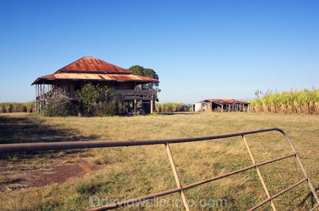 abandon;abandoned;australasia;australasian;Australia;australian;balcony;character;Derelict;discarded;farm;farming;farmland;farms;field;fields;forgotten;gate;gates;heritage;Hervey-Bay;historic;historical;horticulture;House;houses;old;overgrown;Queensland;Queenslander;queenslanders;relic;rural;rust;rustic;rusty