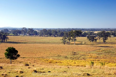 agricultural;agriculture;australasia;Australia;australian;eucalyptus;farm;farming;farmland;farms;field;fields;gum-tree;gum-trees;hervey-bay;meadow;meadows;open;paddock;paddocks;pasture;pastures;Queensland;rural;tree;trees