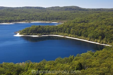 aerial;aerials;australasia;Australia;australian;beach;beaches;boorangora;bush;forest;Fraser-Island;great-sandy-n.p.;great-sandy-national-park;great-sandy-np;islands;lake-boorangora;Lake-McKenzie;lakes;native-bush;perched-lake;perched-lakes;queensland;UN-world-heritage-site;united-nations-world-heritage-s;white-sand;world-heritage;World-Heritage-site