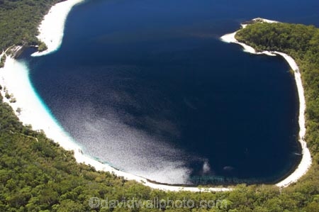 aerial;aerials;australasia;Australia;australian;beach;beaches;boorangora;bush;forest;Fraser-Island;great-sandy-n.p.;great-sandy-national-park;great-sandy-np;islands;lake-boorangora;Lake-McKenzie;lakes;native-bush;perched-lake;perched-lakes;queensland;UN-world-heritage-site;united-nations-world-heritage-s;white-sand;world-heritage;World-Heritage-site
