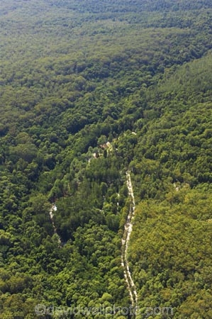 aerial;aerials;australasia;Australia;australian;bush;central-station;forest;forests;Fraser-Island;great-sandy-n.p.;great-sandy-national-park;great-sandy-np;islands;native-bush;queensland;road;roads;sandy-track;tracks;UN-world-heritage-site;united-nations-world-heritage-s;world-heritage;World-Heritage-site
