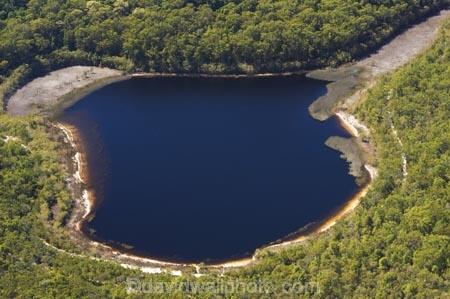 aerial;aerials;australasia;Australia;australian;beach;beaches;bush;forest;Fraser-Island;great-sandy-n.p.;great-sandy-national-park;great-sandy-np;islands;Lake-jenning;lake-jennings;lakes;native-bush;perched-lake;perched-lakes;queensland;UN-world-heritage-site;united-nations-world-heritage-s;white-sand;world-heritage;World-Heritage-site