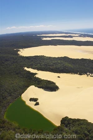 aerial;aerials;australasia;Australia;australian;barrier-lake;barrier-lakes;beach;beaches;bush;forest;Fraser-Island;golden-sand;great-sandy-n.p.;great-sandy-national-park;great-sandy-np;green;hammerstone-sand-blow;islands;Lake-Wabby;lakes;native-bush;queensland;sand-blow;sand-blows;sand-dune;sand-dunes;UN-world-heritage-site;united-nations-world-heritage-s;world-heritage;World-Heritage-site;yellow-sand