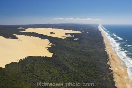 aerial;aerials;australasia;Australia;australian;beach;beaches;bush;coast;coastal;coastline;coastlines;forest;Fraser-Island;golden-sand;great-sandy-n.p.;great-sandy-national-park;great-sandy-np;islands;native-bush;queensland;sand-blow;sand-blows;sand-dune;sand-dunes;seventy-five-mile-beach;shore;shoreline;shorelines;UN-world-heritage-site;united-nations-world-heritage-s;wave;waves;world-heritage;World-Heritage-site;yellow-sand