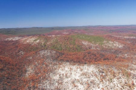 aerial;aerials;australasia;Australia;australian;brush;burnt;bush;bush-fire;bush-fires;bush_fire;bush_fires;bushfire;bushfires;Catastrophe;Catastrophes;conservation;Countryside;Danger;Deforestation;destroy;destruction;destructive;disaster;Disasters;engulf;environment;environmental-issues;Fire;fires;flora;foliage;forest;forests;Fraser-Island;great-sandy-n.p.;great-sandy-national-park;great-sandy-np;Hazard;incinerated;islands;landscape;landscapes;loss;Losses;native-bush;natural;Natural-disaster;Natural-disasters;nature;outdoors;plant;pollution;queensland;rainforest;regeneration;scorch;scorched;scrub;tree;trees;UN-world-heritage-site;united-nations-world-heritage-s;vegetation;wild-fire;wild-fires;wild_fire;wild_fires;wildfire;wildfires;world-heritage;World-Heritage-site