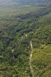 aerial;aerials;australasia;Australia;australian;bush;central-station;forest;forests;Fraser-Island;great-sandy-n.p.;great-sandy-national-park;great-sandy-np;islands;native-bush;queensland;road;roads;sandy-track;tracks;UN-world-heritage-site;united-nations-world-heritage-s;world-heritage;World-Heritage-site