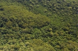 aerial;aerials;australasia;Australia;australian;bush;forest;forests;Fraser-Island;great-sandy-n.p.;great-sandy-national-park;great-sandy-np;islands;native-bush;queensland;rainforest;UN-world-heritage-site;united-nations-world-heritage-s;vegetation;world-heritage;World-Heritage-site