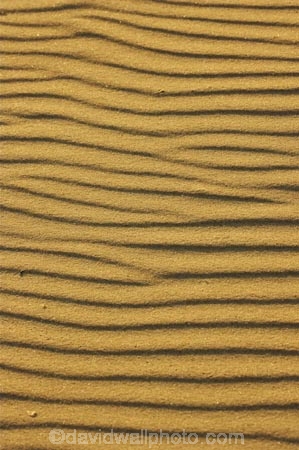 Arid;Aridity;austalian;australasia;Australia;Background;Backgrounds;Barren;beach;beaches;coolangatta;Desert;Deserts;Desolate;Desolation;Dry;Dune;Dunes;Earth;Exterior;gold-coast;Ground;Grounds;Natural-background;Natural-backgrounds;Nature;Outdoor;Outdoors;Outside;pattern;patterns;queensland;Ripple;Ripples;Sand;sandy;Surface;Surfaces;Texture;Textures;Wave;Waves
