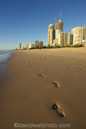 accommodation;apartment;apartments;australasia;Australia;beach;beaches;coast;coastal;early-light;foot-print;foot-prints;foot-step;foot-steps;footprint;footprints;footstep;footsteps;Gold-Coast;high-rise;high-rises;high_rise;high_rises;highrise;highrises;holiday;holidays;hotel;hotels;queensland;reflection;reflections;sand;sandy;sky-scraper;sky-scrapers;sky_scraper;sky_scrapers;skyscraper;skyscrapers;surfers-paradise;tourism;travel;vacation;vacations;wet