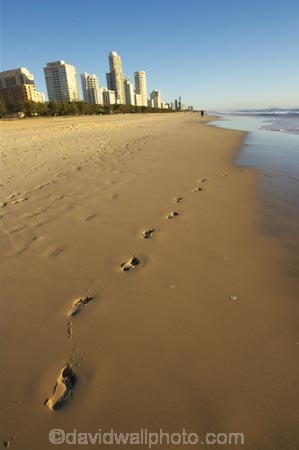 accommodation;apartment;apartments;australasia;Australia;beach;beaches;coast;coastal;early-light;foot-print;foot-prints;foot-step;foot-steps;footprint;footprints;footstep;footsteps;Gold-Coast;high-rise;high-rises;high_rise;high_rises;highrise;highrises;holiday;holidays;hotel;hotels;queensland;reflection;reflections;sand;sandy;sky-scraper;sky-scrapers;sky_scraper;sky_scrapers;skyscraper;skyscrapers;surfers-paradise;tourism;travel;vacation;vacations;wet