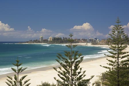 australasia;Australia;beach;beaches;coast;coastal;coolangatta;Gold-Coast;holiday;holidays;queensland;sand;sandy;surfers-paradise;tourism;travel;tree;trees;vacation;vacations