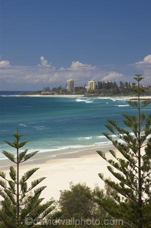australasia;Australia;beach;beaches;coast;coastal;coolangatta;Gold-Coast;holiday;holidays;queensland;sand;sandy;surfers-paradise;tourism;travel;tree;trees;vacation;vacations