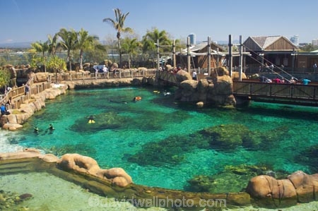 amusement-park;amusement-parks;australasia;Australia;entertainment;fun;fun-park;fun-parks;Gold-Coast;holiday;holidays;marine;Marine-life;park;parks;play;pool;Queensland;Sea;sea-world;shark;shark-bay;sharks;Surfers-Paradise;theme-park;theme-parks;tourism;trained;travel;vacation;vacations