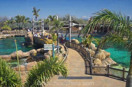 amusement-park;amusement-parks;australasia;Australia;bridge;entertainment;fun;fun-park;fun-parks;Gold-Coast;holiday;holidays;marine;Marine-life;palm;palms;park;parks;play;pool;Queensland;Sea;sea-world;shark;shark-bay;sharks;Surfers-Paradise;theme-park;theme-parks;tourism;travel;vacation;vacations