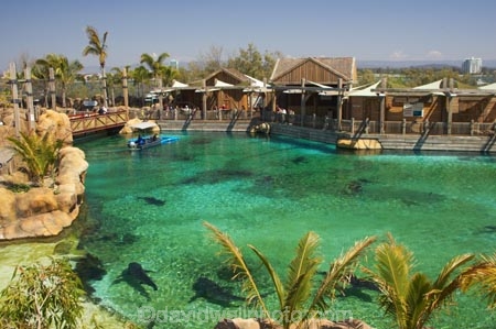 amusement-park;amusement-parks;australasia;Australia;entertainment;fun;fun-park;fun-parks;Gold-Coast;holiday;holidays;marine;Marine-life;park;parks;play;pool;Queensland;Sea;sea-world;shark;shark-bay;sharks;Surfers-Paradise;theme-park;theme-parks;tourism;trained;travel;vacation;vacations