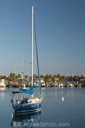 australasia;Australia;boat;boats;coast;coastal;Gold-Coast;inlet;inlets;main-beach;marina;marinas;New-South-Wales;pacific-ocean;pelican;queensland;Terranora-Creek;Tweed-Heads;yacht;yachts